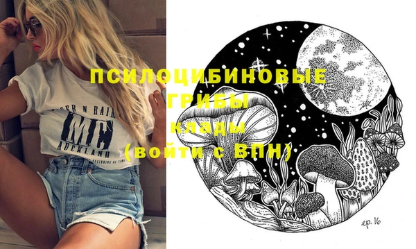 apvp Алексеевка