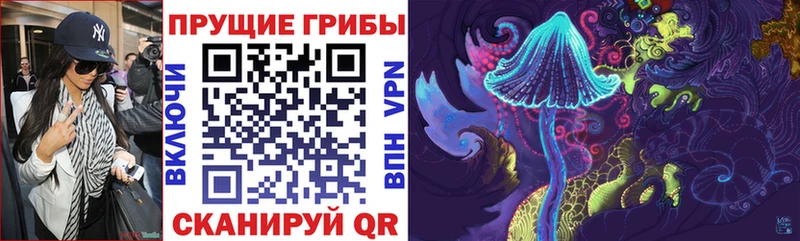Псилоцибиновые грибы Cubensis Полярные Зори